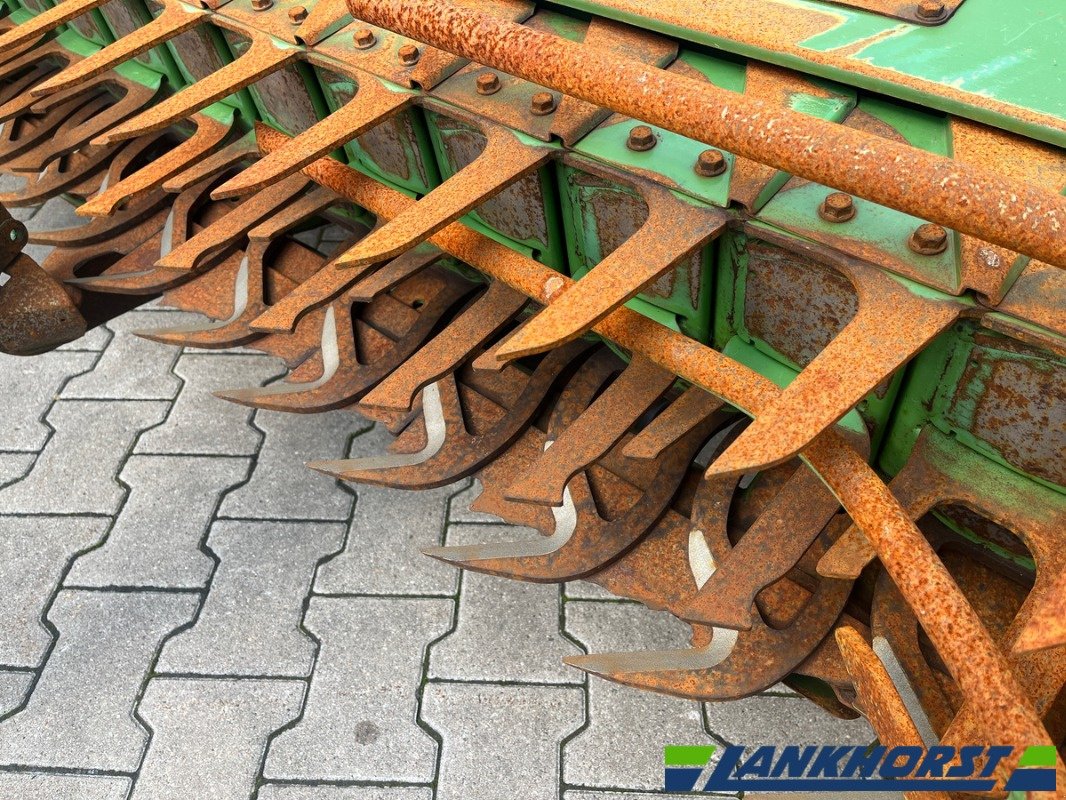 Maisgebiss Türe ait Krone EASY COLLECT 600-2, Gebrauchtmaschine içinde Emsbüren (resim 9)