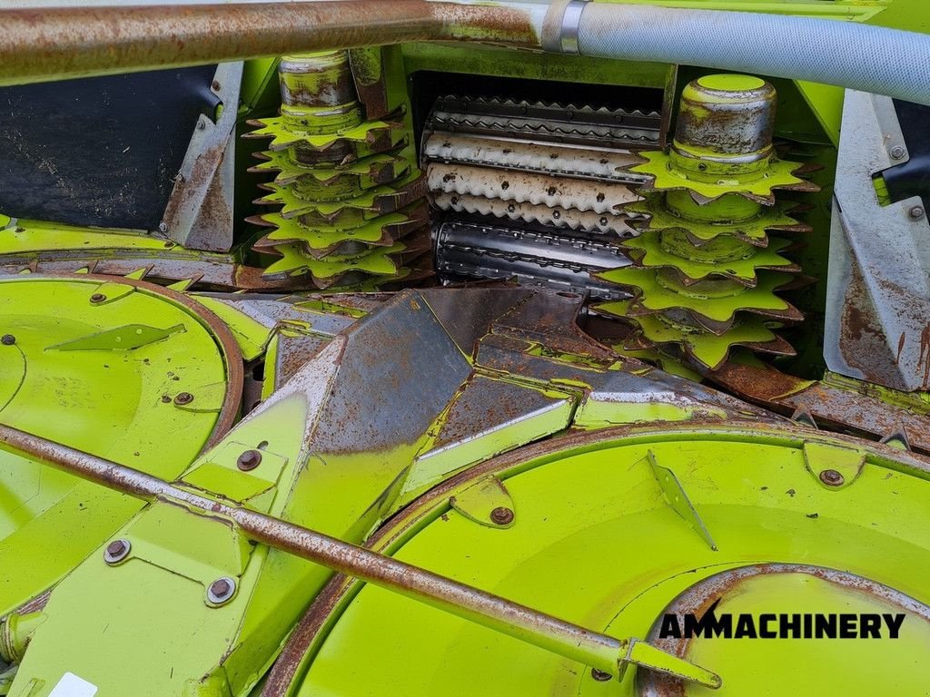Maisgebiss des Typs Sonstige Claas Orbis 450 rotary corn header, Gebrauchtmaschine in Horst (Bild 8)