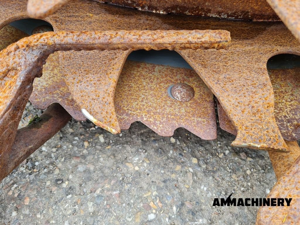 Maisgebiss typu Sonstige Claas Orbis 600 rotary corn header, Gebrauchtmaschine v Horst (Obrázok 8)