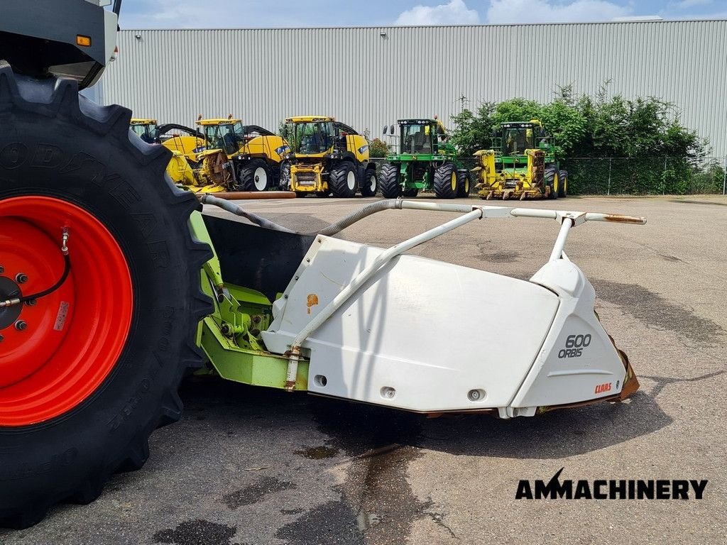Maisgebiss typu Sonstige Claas Orbis 600 rotary corn header, Gebrauchtmaschine v Horst (Obrázok 3)