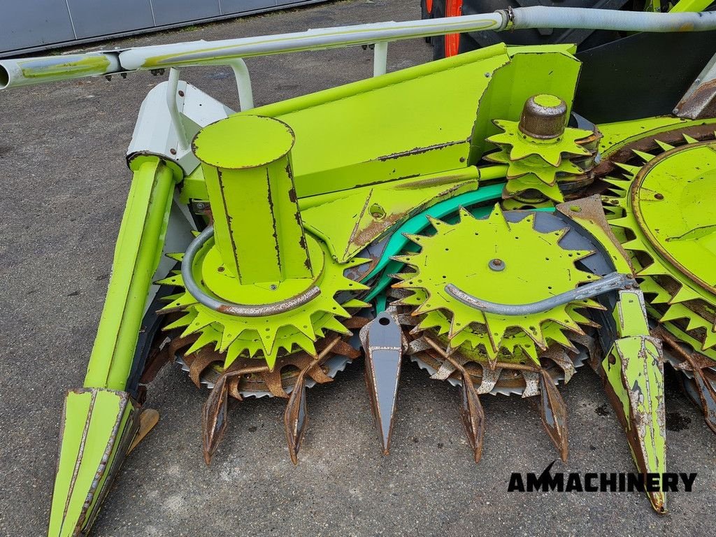 Maisgebiss typu Sonstige Claas Orbis 600SD rotary corn header, Gebrauchtmaschine v Horst (Obrázek 11)