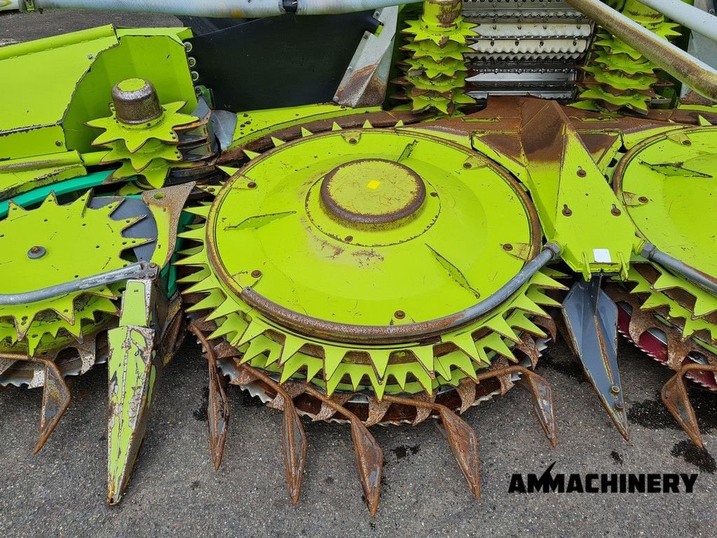 Maisgebiss typu Sonstige Claas Orbis 600SD rotary corn header, Gebrauchtmaschine v Horst (Obrázek 10)