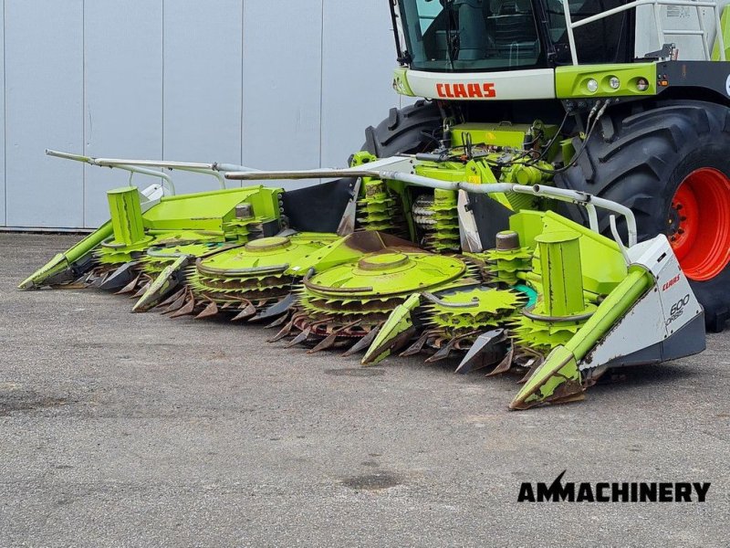 Maisgebiss typu Sonstige Claas Orbis 600SD rotary corn header, Gebrauchtmaschine v Horst (Obrázek 1)