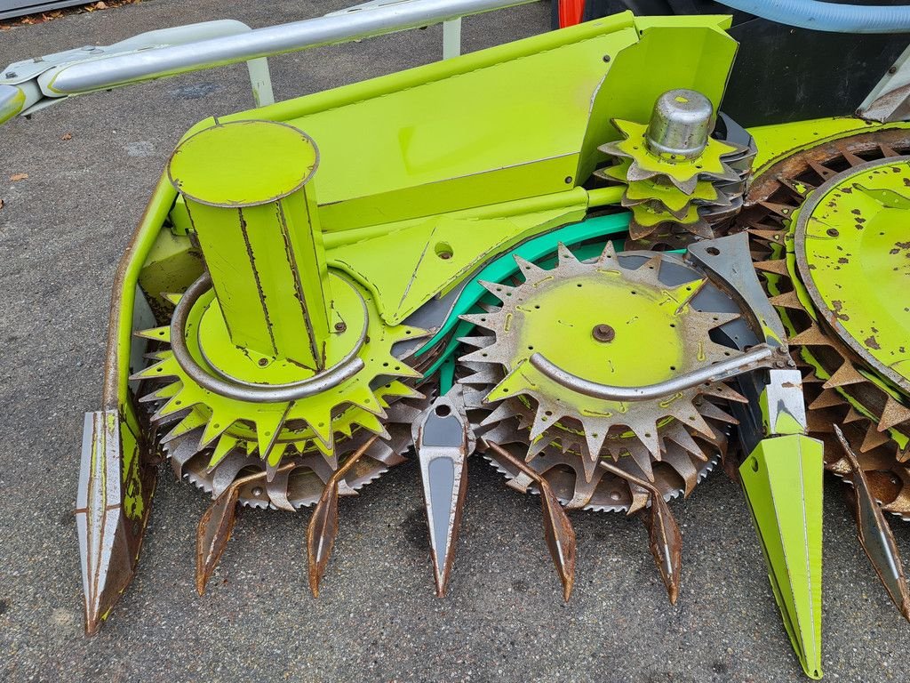 Maisgebiss typu Sonstige Claas Orbis 600SD rotary corn header, Gebrauchtmaschine w Horst (Zdjęcie 11)