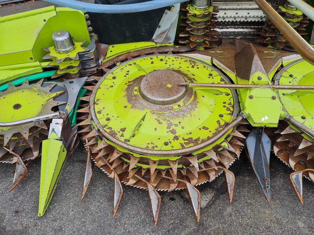 Maisgebiss typu Sonstige Claas Orbis 600SD rotary corn header, Gebrauchtmaschine w Horst (Zdjęcie 10)