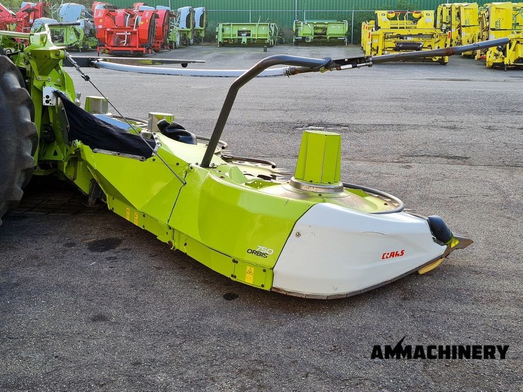 Maisgebiss типа Sonstige Claas Orbis 750 I63 rotary corn header, Gebrauchtmaschine в Horst (Фотография 3)