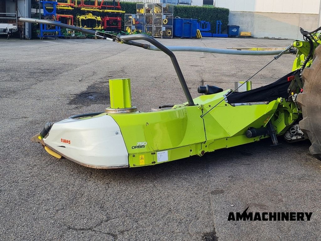 Maisgebiss типа Sonstige Claas Orbis 750 I63 rotary corn header, Gebrauchtmaschine в Horst (Фотография 4)