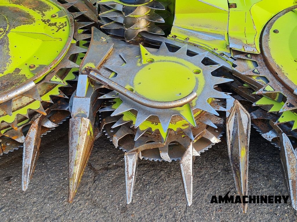 Maisgebiss типа Sonstige Claas Orbis 750 I63 rotary corn header, Gebrauchtmaschine в Horst (Фотография 8)