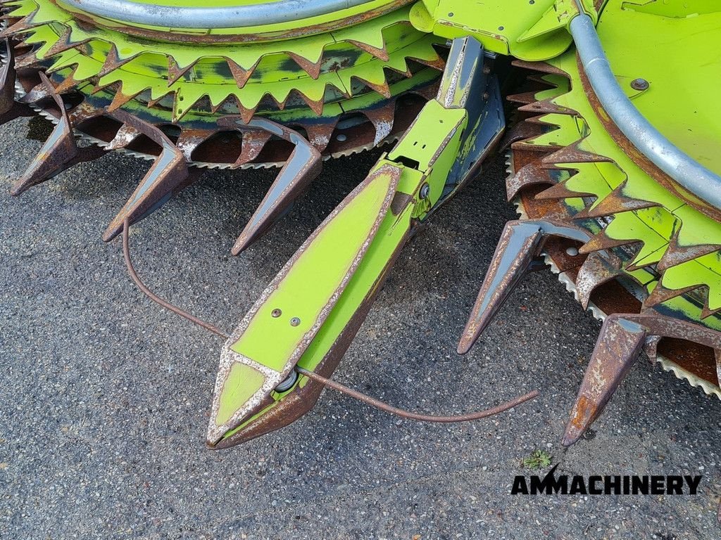 Maisgebiss Türe ait Sonstige Claas Orbis 750 i63, Gebrauchtmaschine içinde Horst (resim 10)