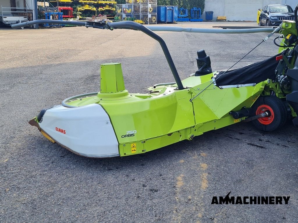 Maisgebiss Türe ait Sonstige Claas Orbis 750 i63, Gebrauchtmaschine içinde Horst (resim 4)