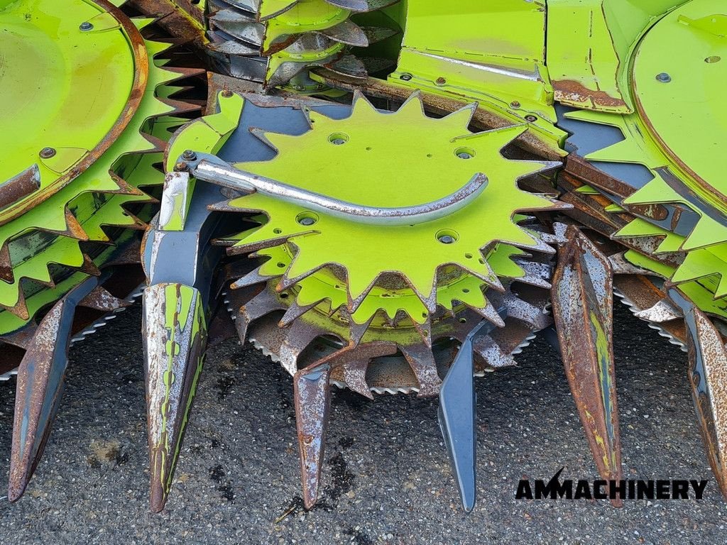 Maisgebiss Türe ait Sonstige Claas Orbis 750 i63, Gebrauchtmaschine içinde Horst (resim 8)