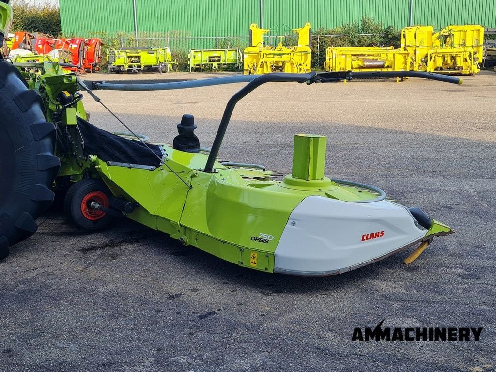 Maisgebiss Türe ait Sonstige Claas Orbis 750 i63, Gebrauchtmaschine içinde Horst (resim 3)