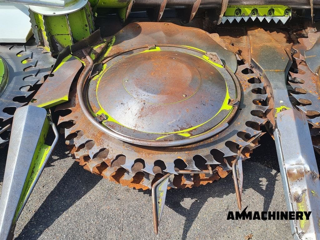 Maisgebiss typu Sonstige Claas RU600Xtra autocontour, Gebrauchtmaschine v Horst (Obrázek 10)