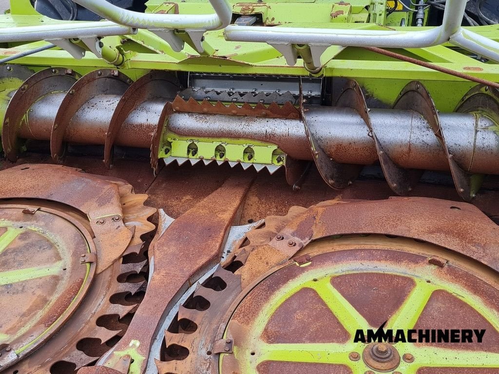 Maisgebiss от тип Sonstige Claas RU600Xtra corn header, Gebrauchtmaschine в Horst (Снимка 10)