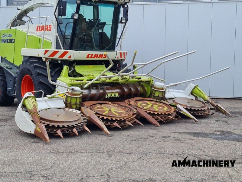 Maisgebiss of the type Sonstige Claas RU600Xtra corn header, Gebrauchtmaschine in Horst (Picture 1)