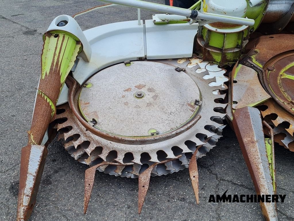 Maisgebiss от тип Sonstige Claas RU600Xtra corn header, Gebrauchtmaschine в Horst (Снимка 11)