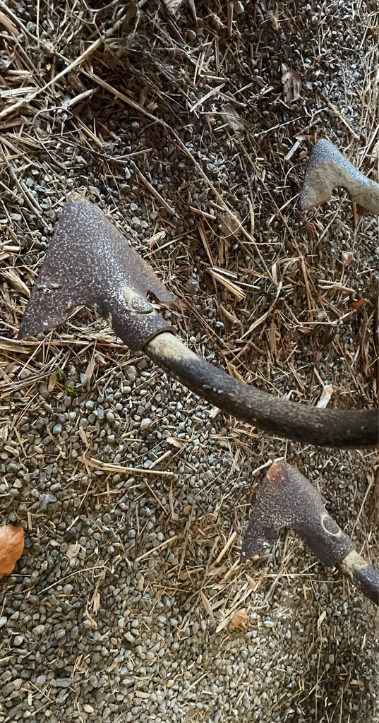 Maishackgerät vrste Carré Econet Precicam, Gebrauchtmaschine v COULVAIN (Slika 1)