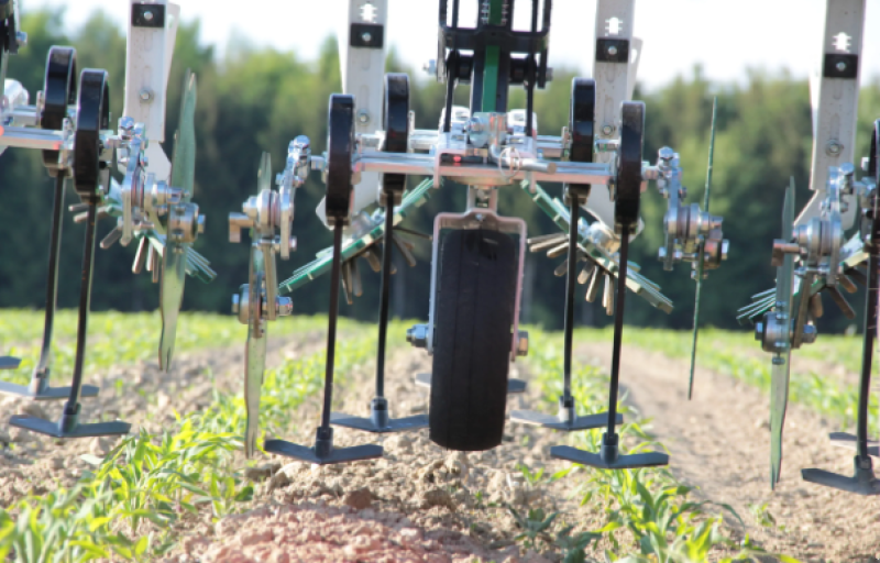 Maishackgerät του τύπου DicksonKerner Variofield 630 H, Gebrauchtmaschine σε Bidingen (Φωτογραφία 2)