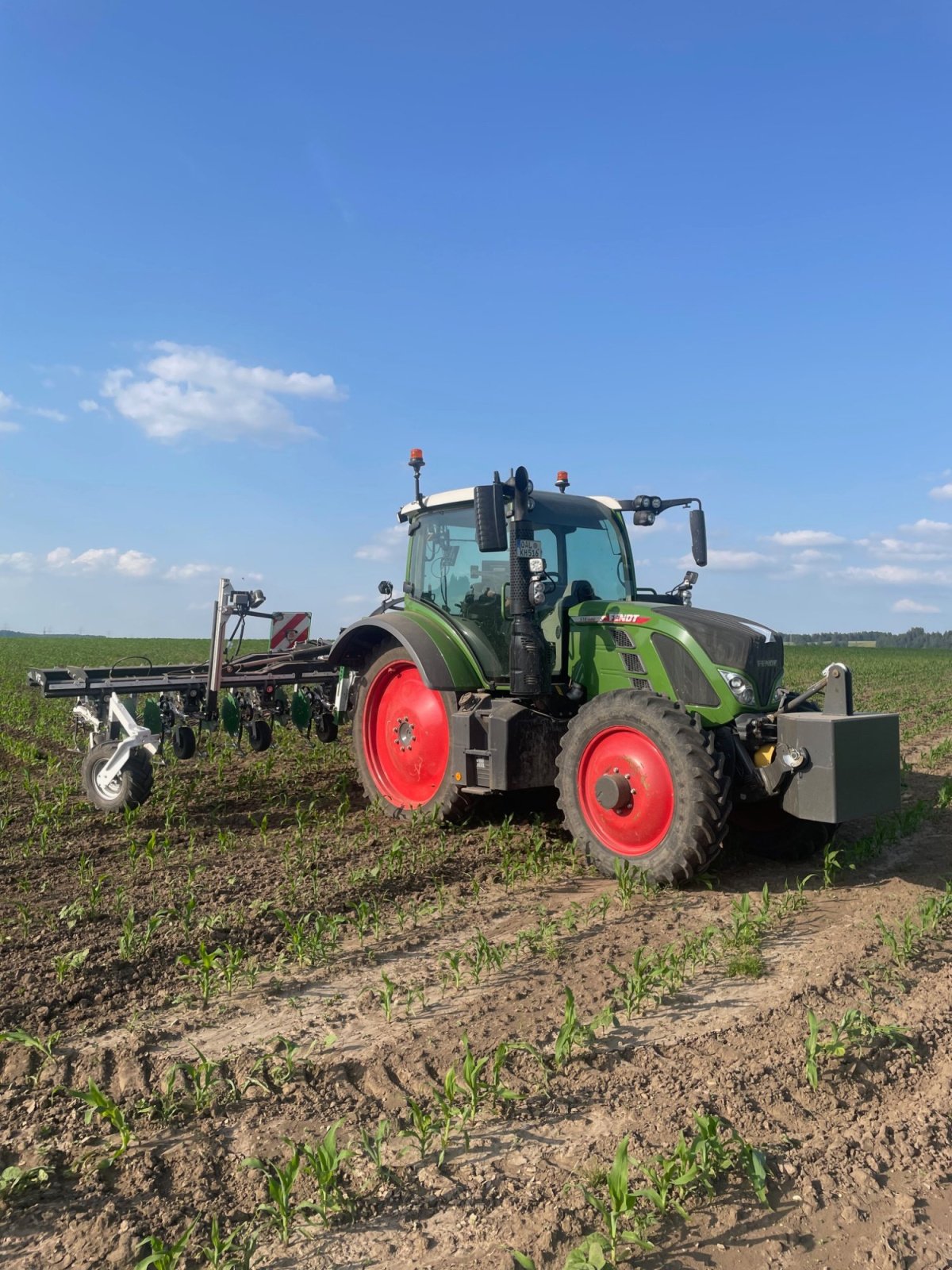 Maishackgerät του τύπου DicksonKerner Variofield 630 H, Gebrauchtmaschine σε Bidingen (Φωτογραφία 5)