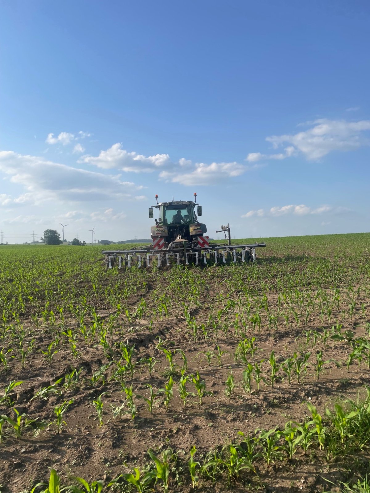 Maishackgerät του τύπου DicksonKerner Variofield 630 H, Gebrauchtmaschine σε Bidingen (Φωτογραφία 6)