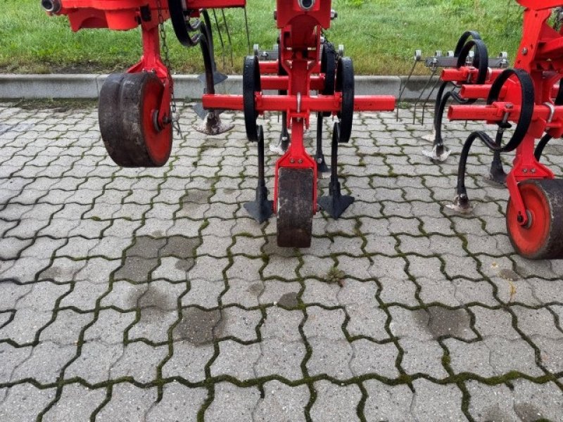 Maishackgerät des Typs Gaspardo 12 RÆKKET MAJSRENSER, Gebrauchtmaschine in Brønderslev (Bild 2)