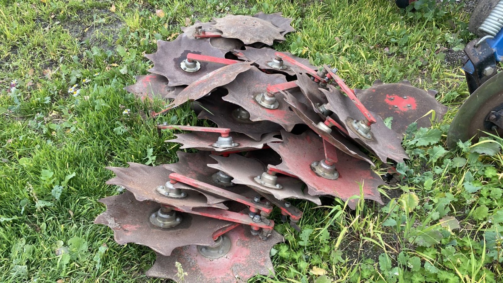 Maishackgerät типа Hatzenbichler 12 rækket med sæde til styr og tallerkner til små afgrøder, Gebrauchtmaschine в øster ulslev (Фотография 4)