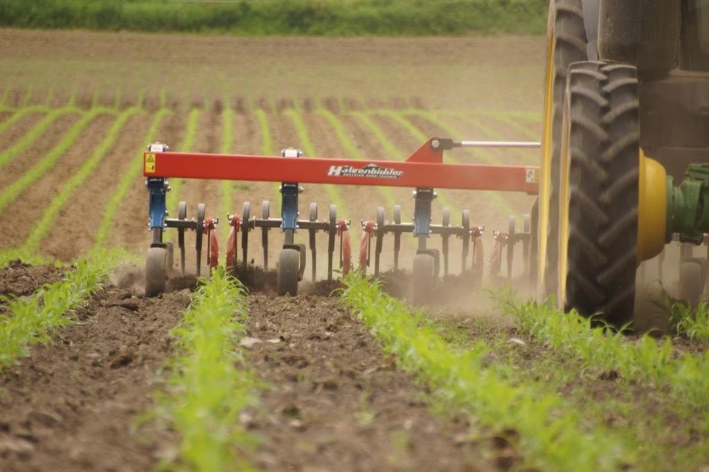 Maishackgerät des Typs Hatzenbichler 12 rk 400 L tank og frøudstyr, Gebrauchtmaschine in Sabro (Bild 4)