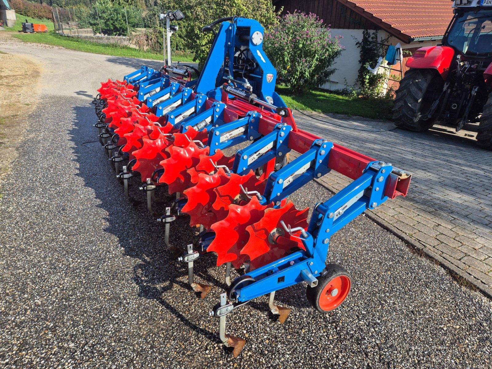 Maishackgerät typu Hatzenbichler Hackgerät 12 reihig Schmotzer Horsch Lemken Kerner, Gebrauchtmaschine v Dietersburg (Obrázek 2)