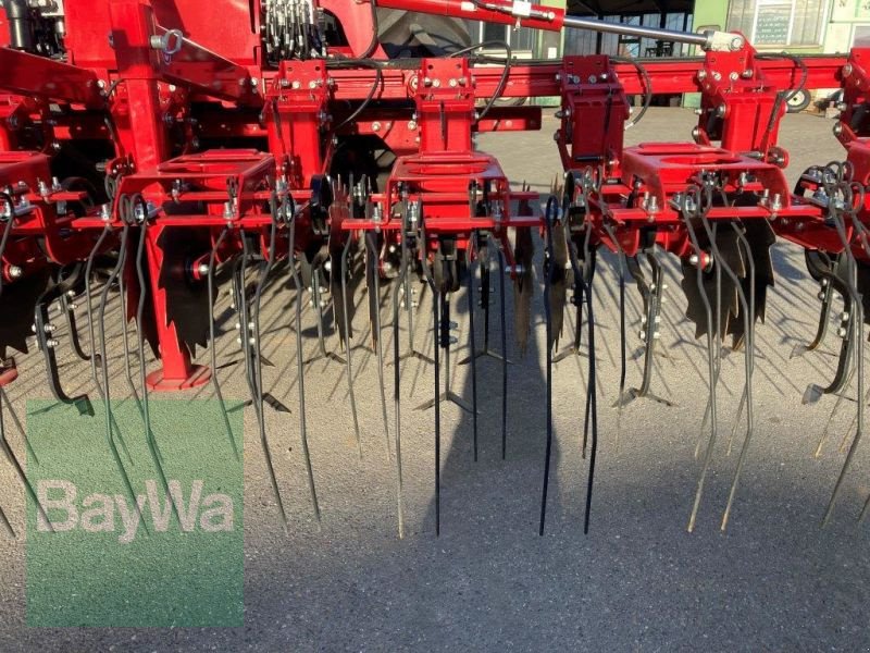 Maishackgerät des Typs Horsch TRANSFORMER 6 VF, Vorführmaschine in Brackenheim (Bild 16)