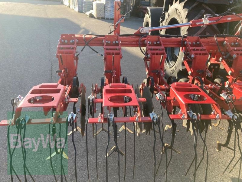 Maishackgerät des Typs Horsch TRANSFORMER 6 VF, Vorführmaschine in Brackenheim (Bild 13)