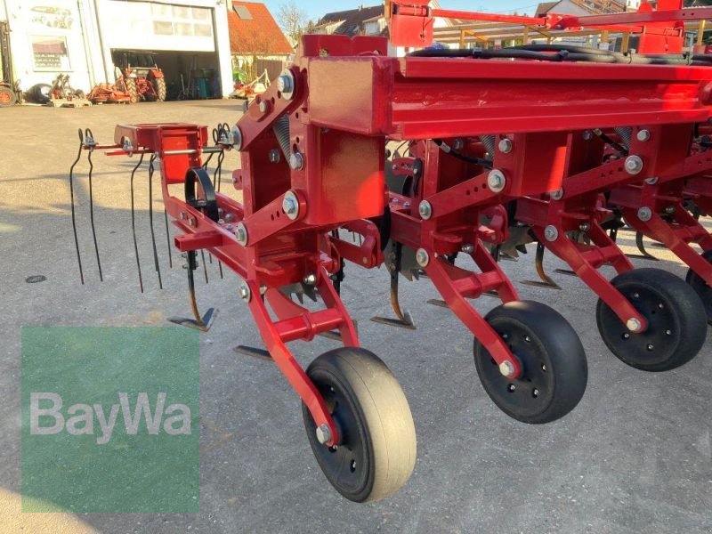 Maishackgerät des Typs Horsch TRANSFORMER 6 VF, Vorführmaschine in Brackenheim (Bild 15)