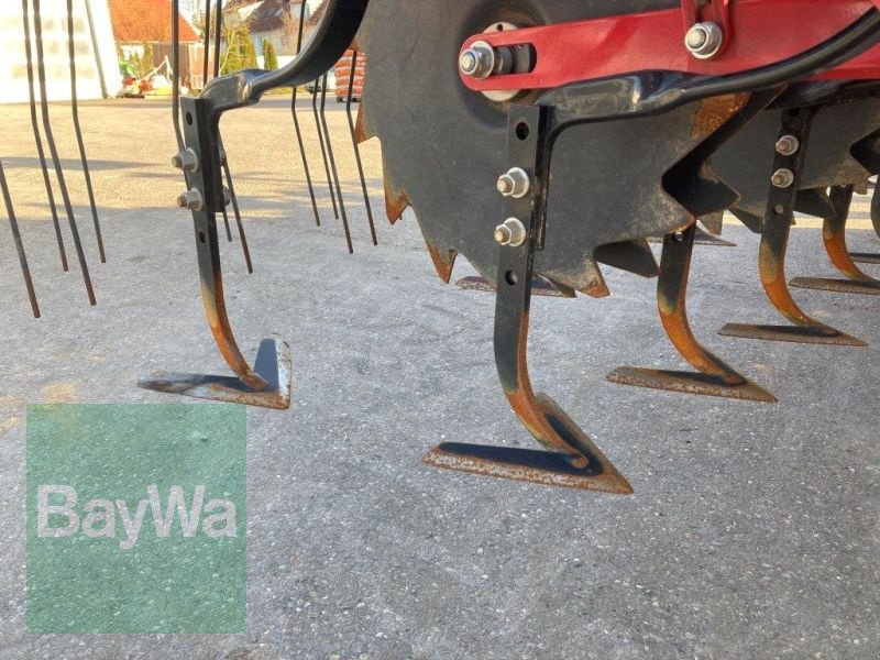 Maishackgerät des Typs Horsch TRANSFORMER 6 VF, Vorführmaschine in Brackenheim (Bild 17)