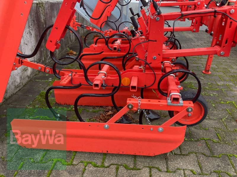 Maishackgerät des Typs Maschio GASPARDO HP 4-Reihig, Gebrauchtmaschine in Backnang (Bild 3)