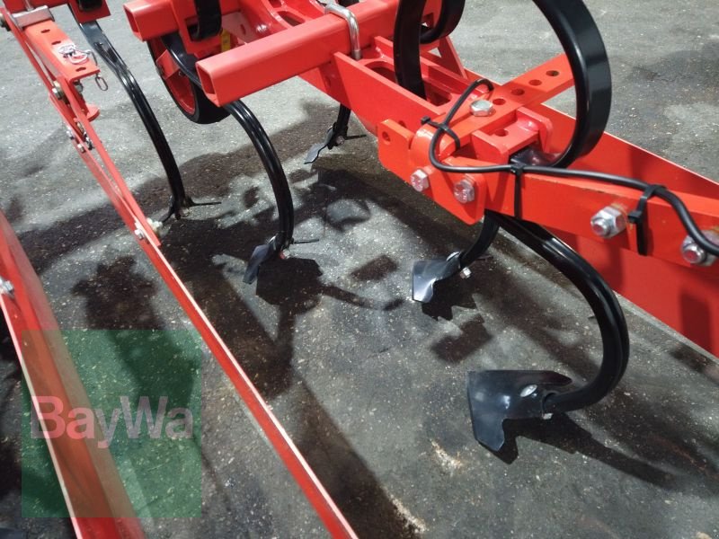 Maishackgerät des Typs Maschio GASPARDO HP 4-REIHIG, Gebrauchtmaschine in Erbach (Bild 11)