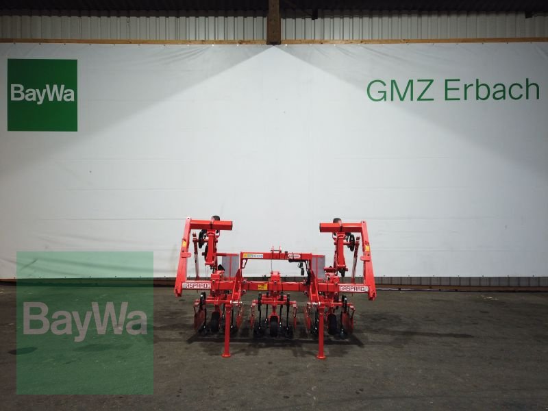 Maishackgerät des Typs Maschio GASPARDO HP 4-REIHIG, Gebrauchtmaschine in Erbach (Bild 7)