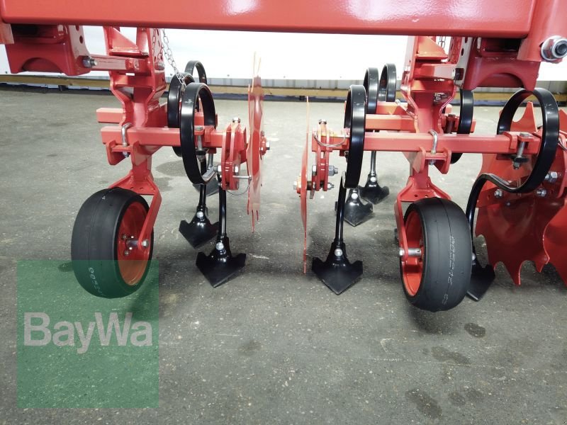 Maishackgerät des Typs Maschio HACKMASCHINE GASPARDO HS 8 R., Gebrauchtmaschine in Erbach (Bild 4)