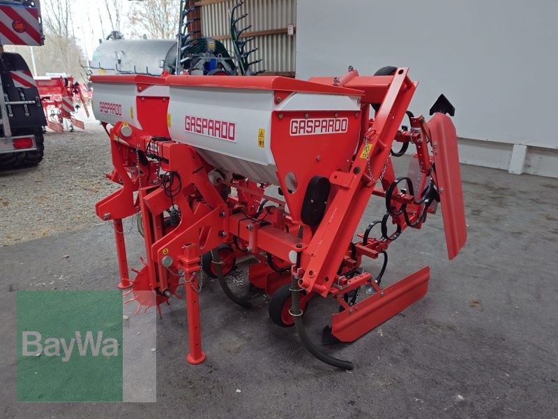 Maishackgerät des Typs Maschio HP 4F 70-80 5M SP, Gebrauchtmaschine in Mindelheim (Bild 6)