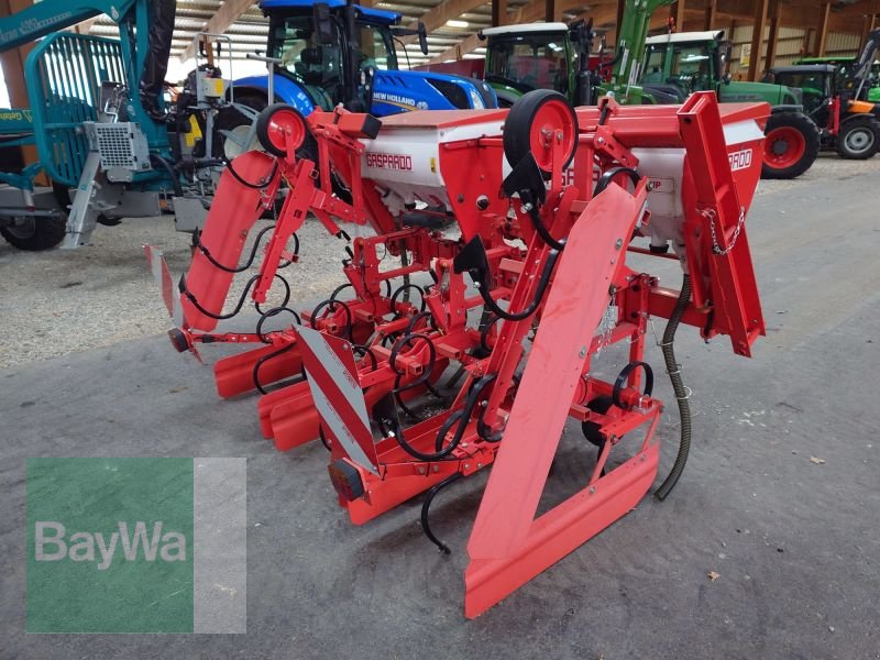 Maishackgerät des Typs Maschio HP 4F 70-80 5M SP, Gebrauchtmaschine in Mindelheim (Bild 4)