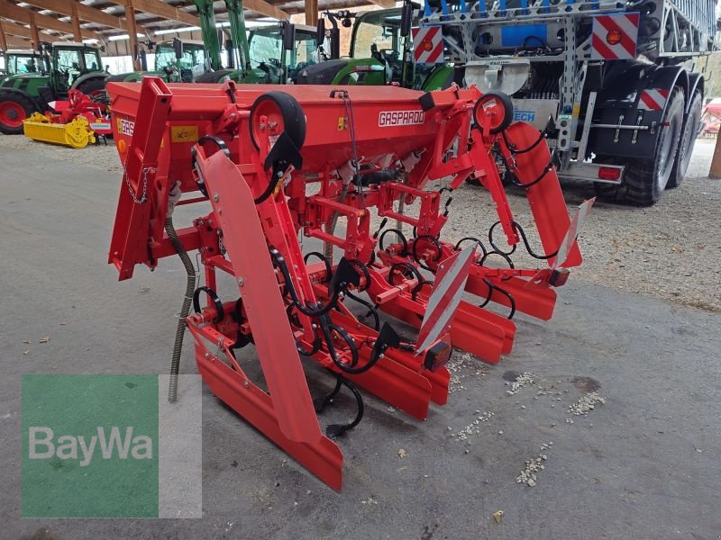 Maishackgerät des Typs Maschio HP 4F 70-80 5M, Gebrauchtmaschine in Mindelheim (Bild 5)