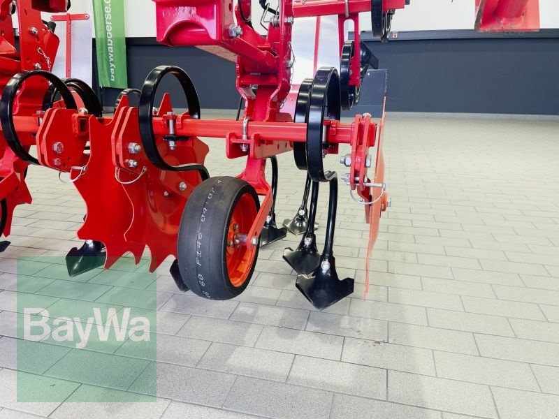 Maishackgerät от тип Maschio HP4 5M, Gebrauchtmaschine в Manching (Снимка 12)