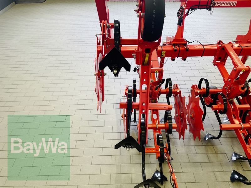 Maishackgerät от тип Maschio HP4 5M, Gebrauchtmaschine в Manching (Снимка 15)