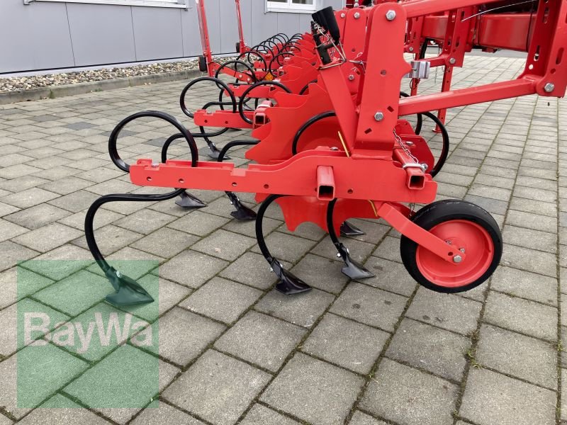 Maishackgerät des Typs Maschio MASCHIO HS HACKGERÄT 8-REIHIG, Gebrauchtmaschine in Großweitzschen  (Bild 4)