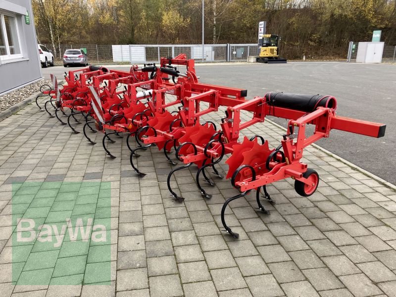 Maishackgerät des Typs Maschio MASCHIO HS HACKGERÄT 8-REIHIG, Gebrauchtmaschine in Großweitzschen  (Bild 2)