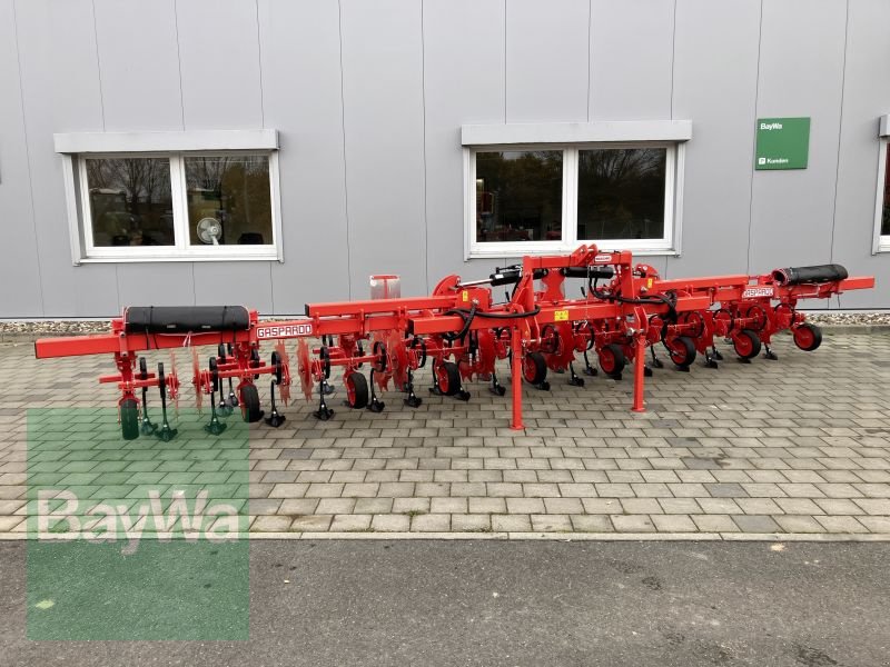 Maishackgerät des Typs Maschio MASCHIO HS HACKGERÄT 8-REIHIG, Gebrauchtmaschine in Großweitzschen  (Bild 1)