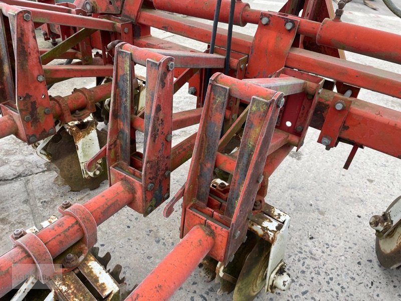 Maishackgerät of the type Rau 16 RHY 5, Gebrauchtmaschine in Prenzlau (Picture 12)