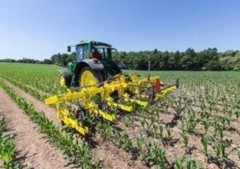 Maishackgerät of the type Sonstige Bednar Row-master RN 9600 PROFI, Gebrauchtmaschine in Vinderup (Picture 1)