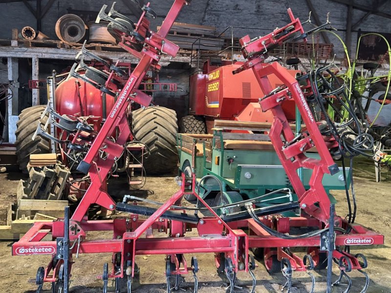 Maishackgerät typu Steketee 12 rækket. Der medføger plader til små afgrøder., Gebrauchtmaschine v øster ulslev (Obrázek 1)