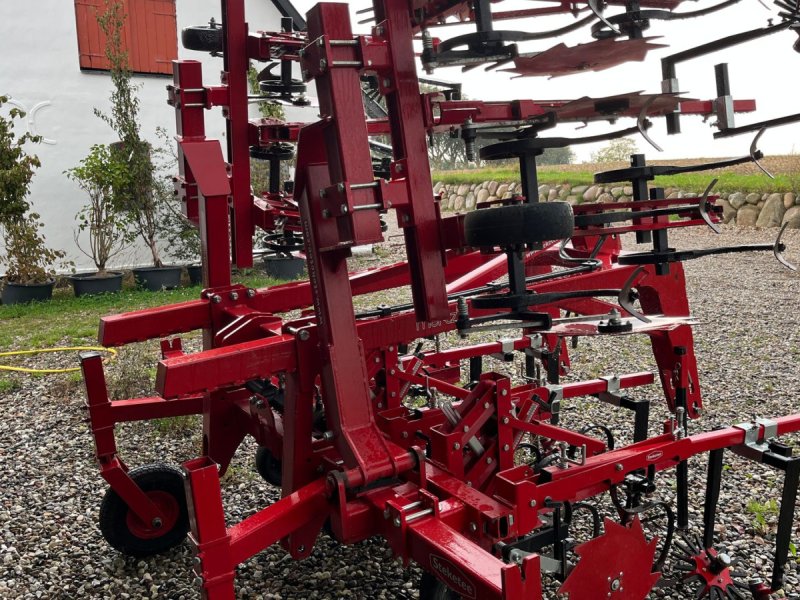 Maishackgerät typu Steketee Majs 6 Række for / bag 75 cm, Gebrauchtmaschine v Borre (Obrázek 1)