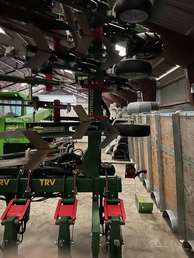 Maishackgerät tipa Thyregod TRV 12 rækket, Gebrauchtmaschine u Mern (Slika 8)