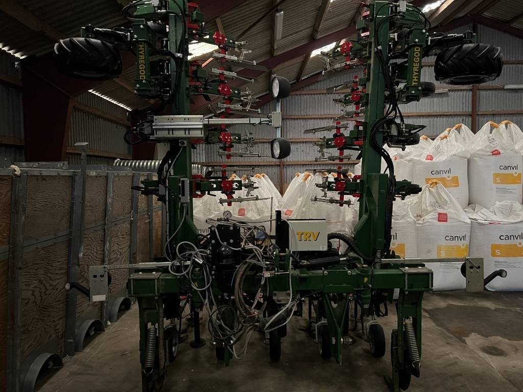 Maishackgerät tipa Thyregod TRV 12 rækket, Gebrauchtmaschine u Mern (Slika 4)